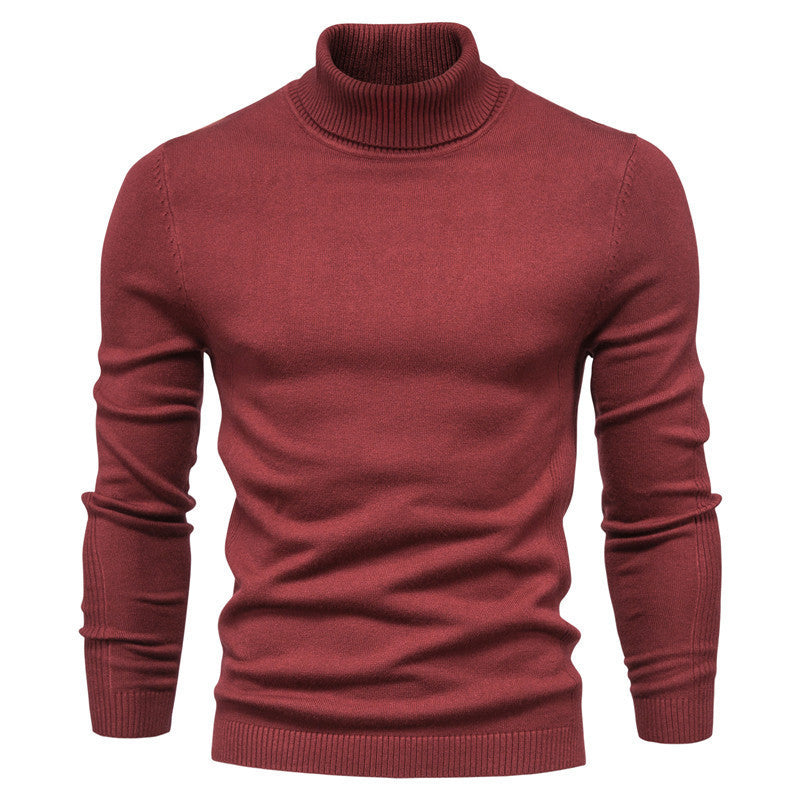 Adrian - Herren Rollkragenpullover mit Slim Fit