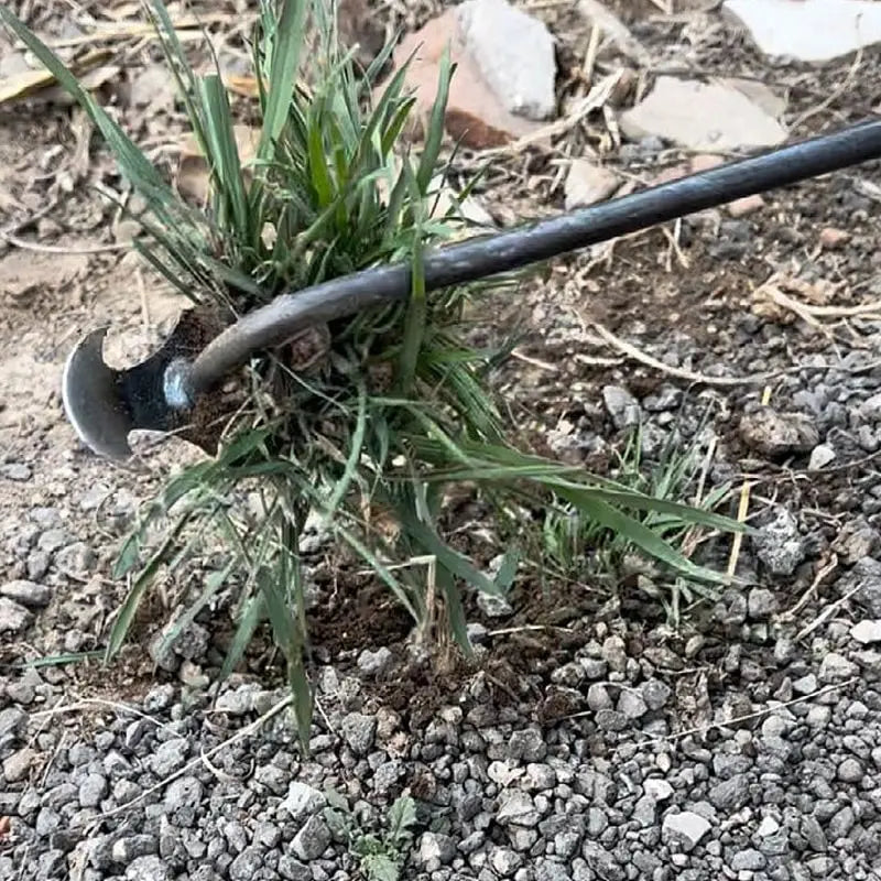 WeedMaster Ergonomic Weed Removal Tool