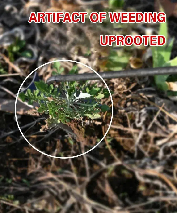 WeedMaster Ergonomic Weed Removal Tool