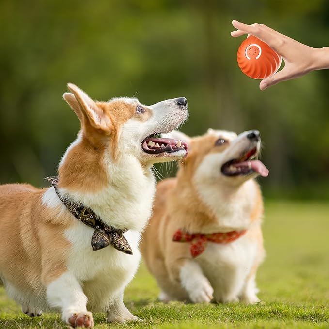 BarkBounce Smart Interactive Dog Ball