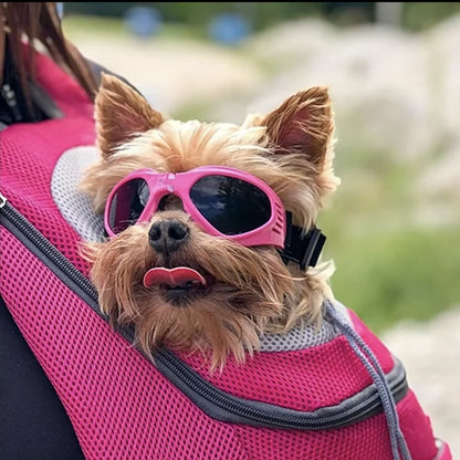 PupShield Foldable Dog Sunglasses