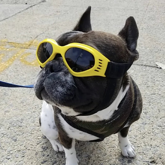 PupShield Foldable Dog Sunglasses