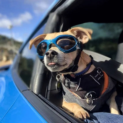 PupShield Foldable Dog Sunglasses