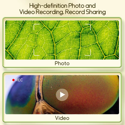 PixiScope Microscopic Wonders, Captured Instantly