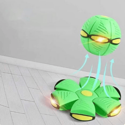 AeroBounce Interactive Dog Play Toy