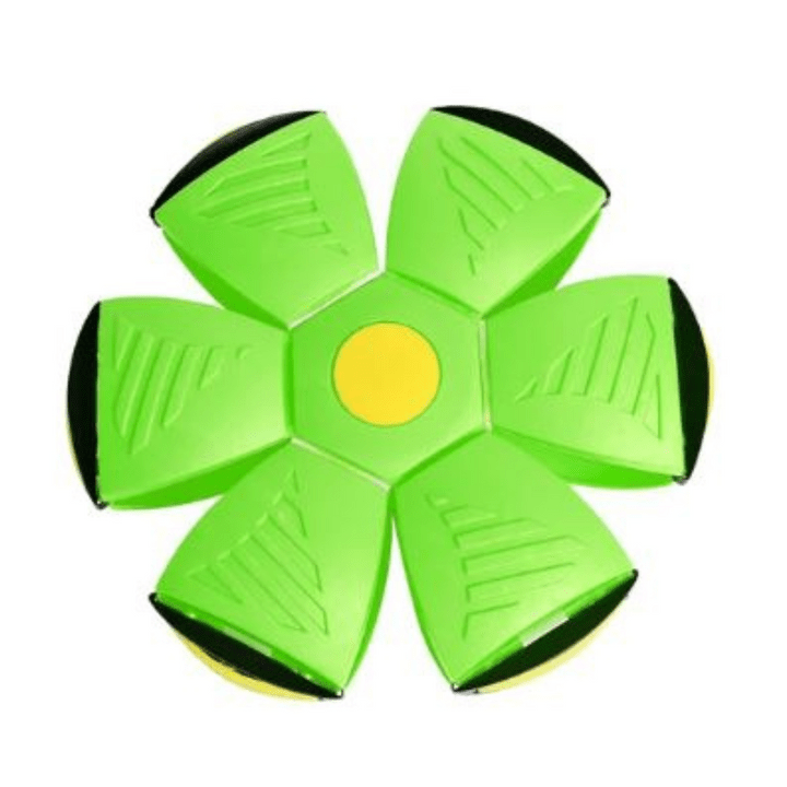 AeroBounce Interactive Dog Play Toy