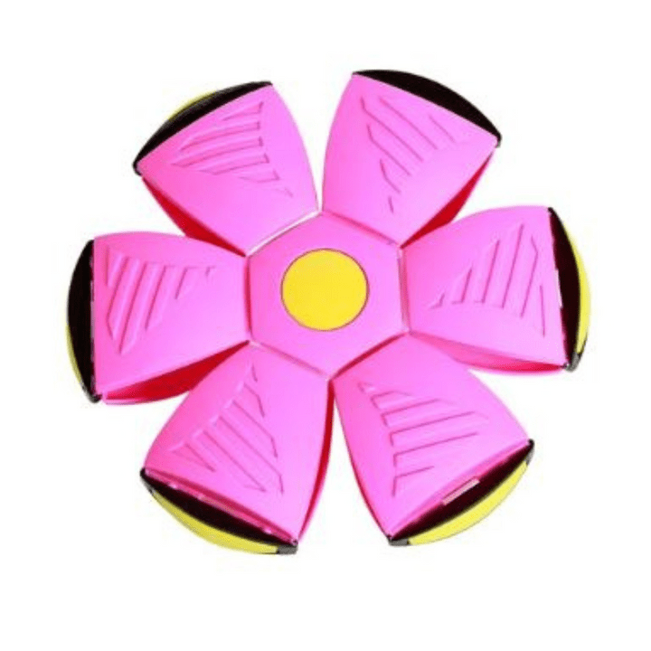 AeroBounce Interactive Dog Play Toy