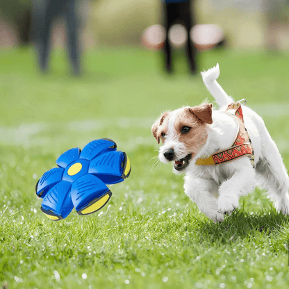 AeroBounce Interactive Dog Play Toy